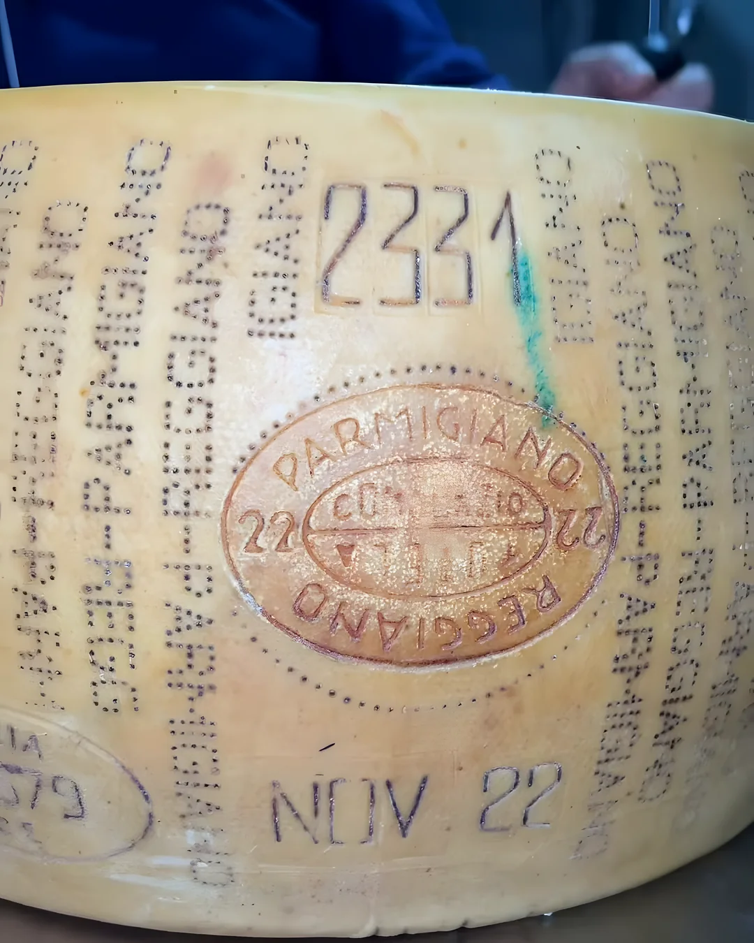 Horma de Parmigiano Reggiano